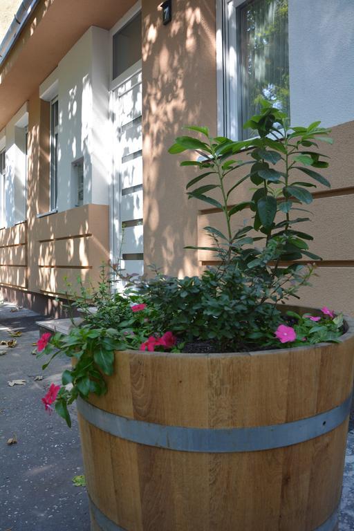 Bodza Apartmanok Έγκερ Εξωτερικό φωτογραφία